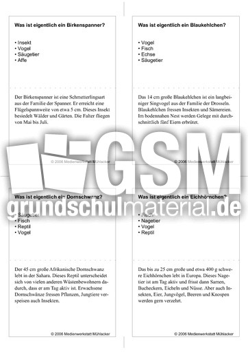 Quiz-Karten-Tiernamen 69.pdf